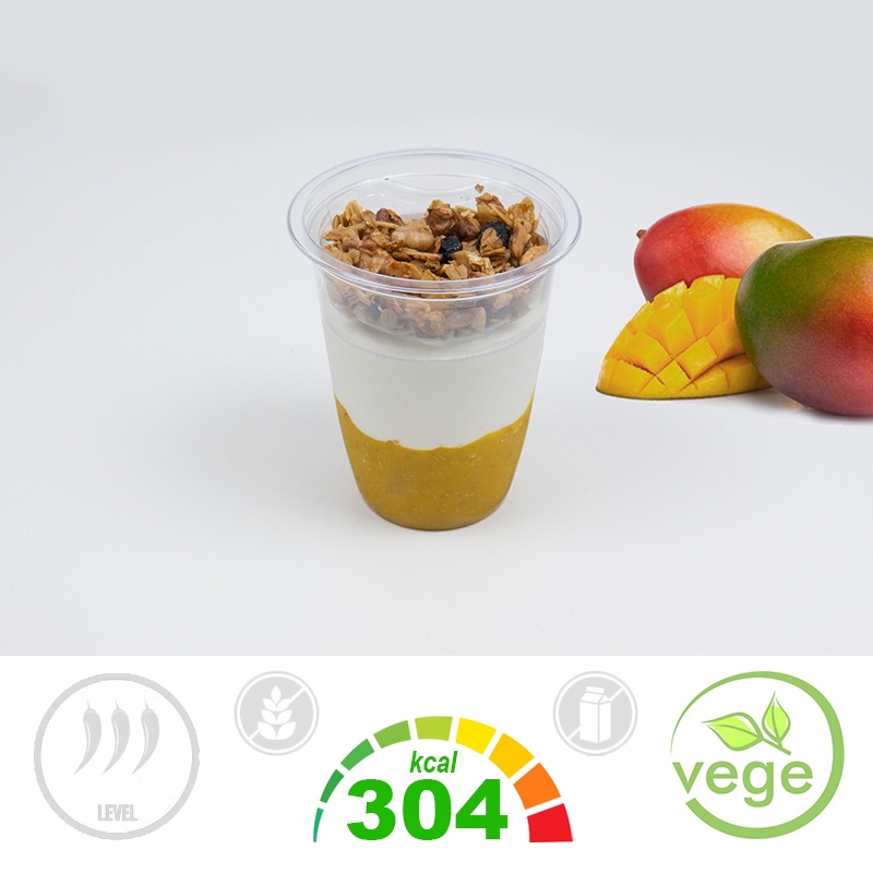JOGURT MANGO + GRANOLA